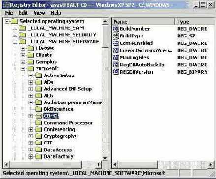  Windows XP
