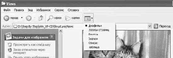 Операционная система Microsoft Windows XP