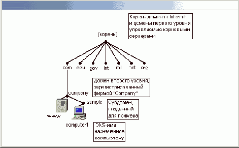    Windows2000
