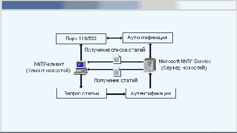    Windows2000
