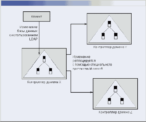    Windows2000
