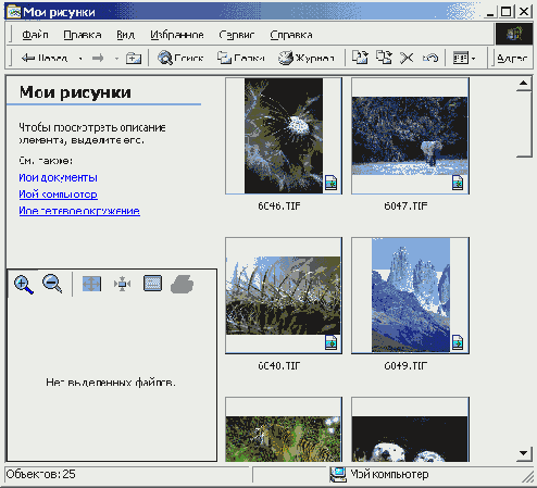    Windows2000
