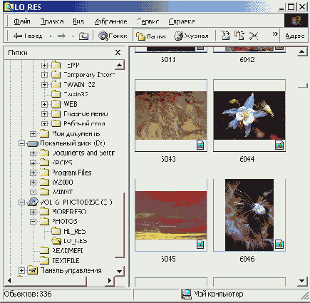    Windows 2000
