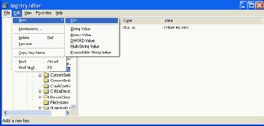    Microsoft Windows 2003
