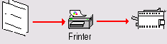    Microsoft Windows 2003
