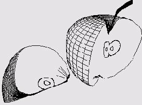    3ds max 6
