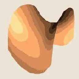 3ds max 6
