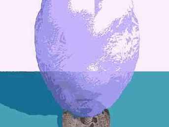  3ds max 6
