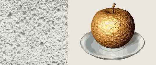  3ds max 6
