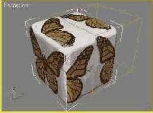  3ds max 6

