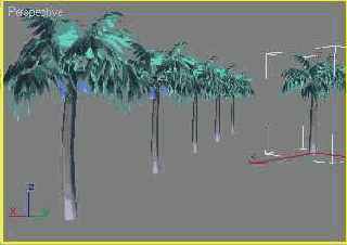 
 3ds max 6

