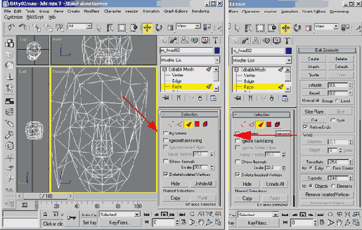    3ds max
