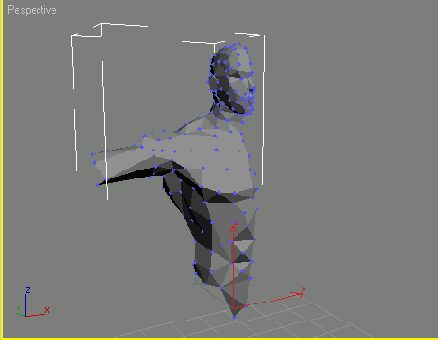    3ds max
