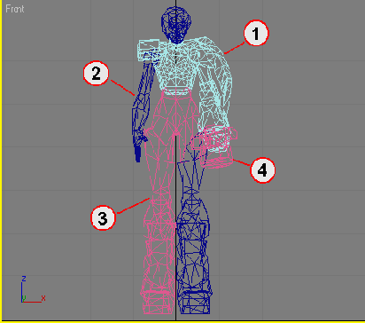    3ds max
