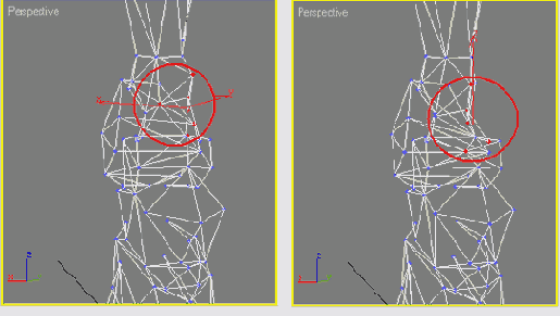    3ds max
