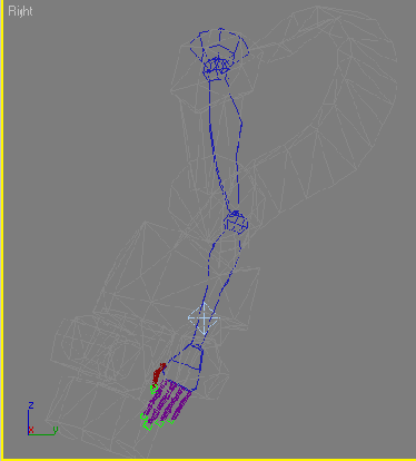    3ds max
