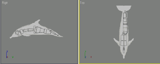    3ds max
