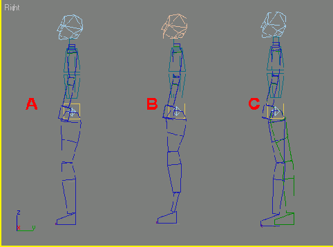    3ds max
