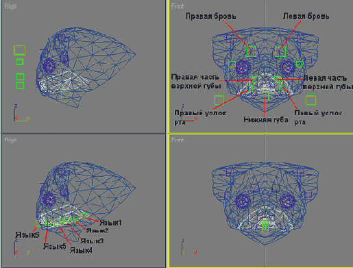    3ds max
