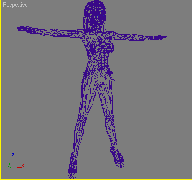    3ds max
