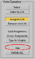    3ds max
