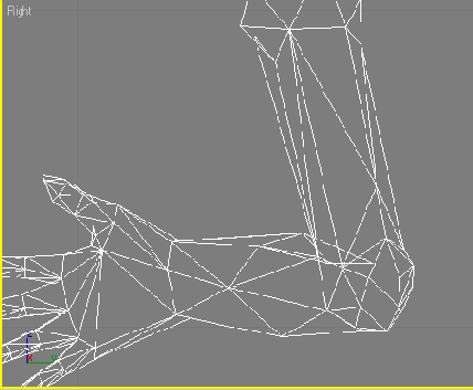    3ds max
