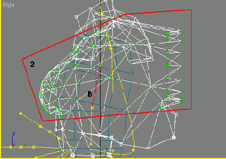   3ds max
