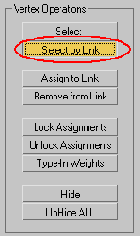    3ds max
