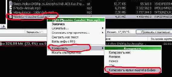    rmDC++
