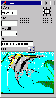    Borland C++ Builder

